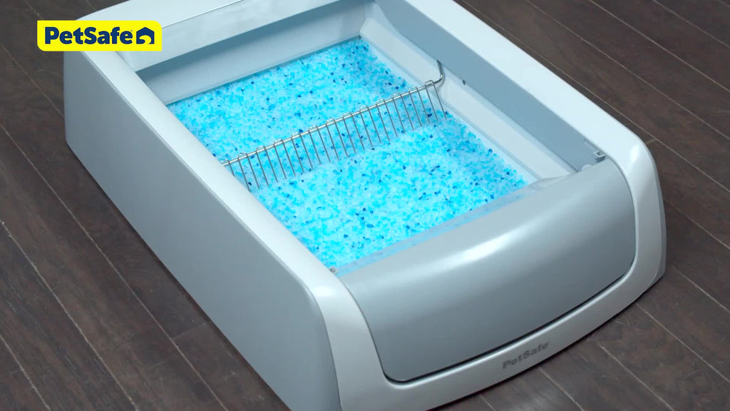 PetSafe® ScoopFree Premium Crystal Litter, 2-Pack – Includes 2 Bags of Lightly Scented Litter – Absorbs Odors 5x better than Clay Clumping – Low Tracking for Less Mess – Lasts up to a Month