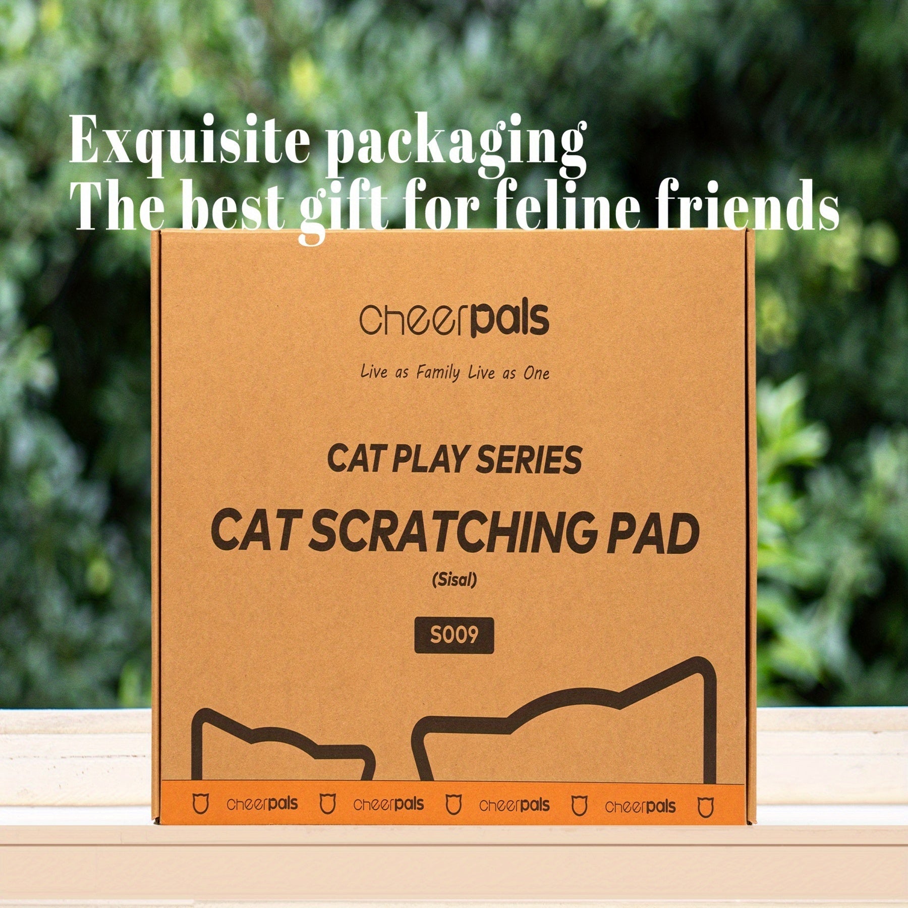 Wooden Interactive Cat Toy Featuring a Track, Designed for Indoor Cats to Scratch And Exercise