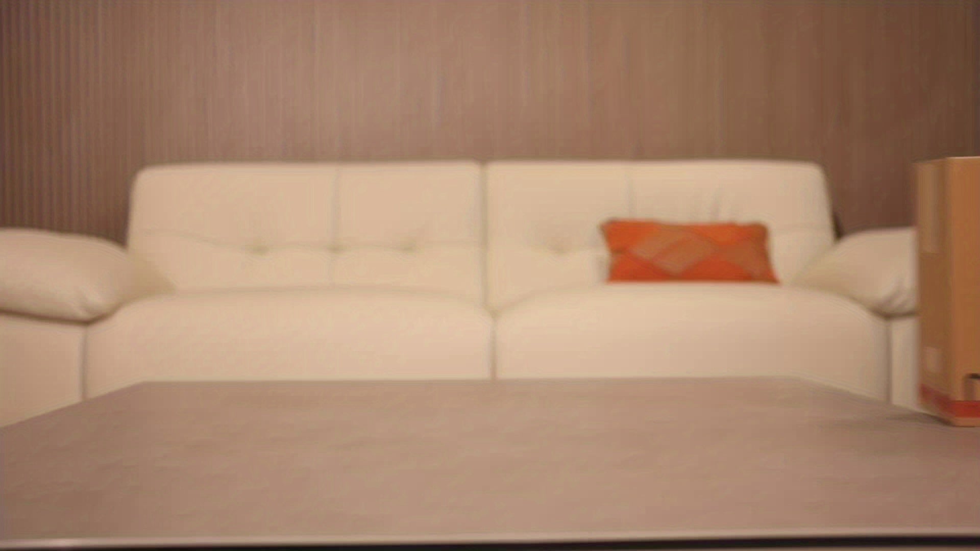 CheerPals Twisted Cat & Dog Bed - Spacious Round Pet Sofa with Removable Cushion, Soft Durable Design, No Assembly Required, Cozy Indoor Bed for Cats & Small Dogs, Classic Style in, Grey, Navy - Ideal for Apartments & Condos, Pet Furniture