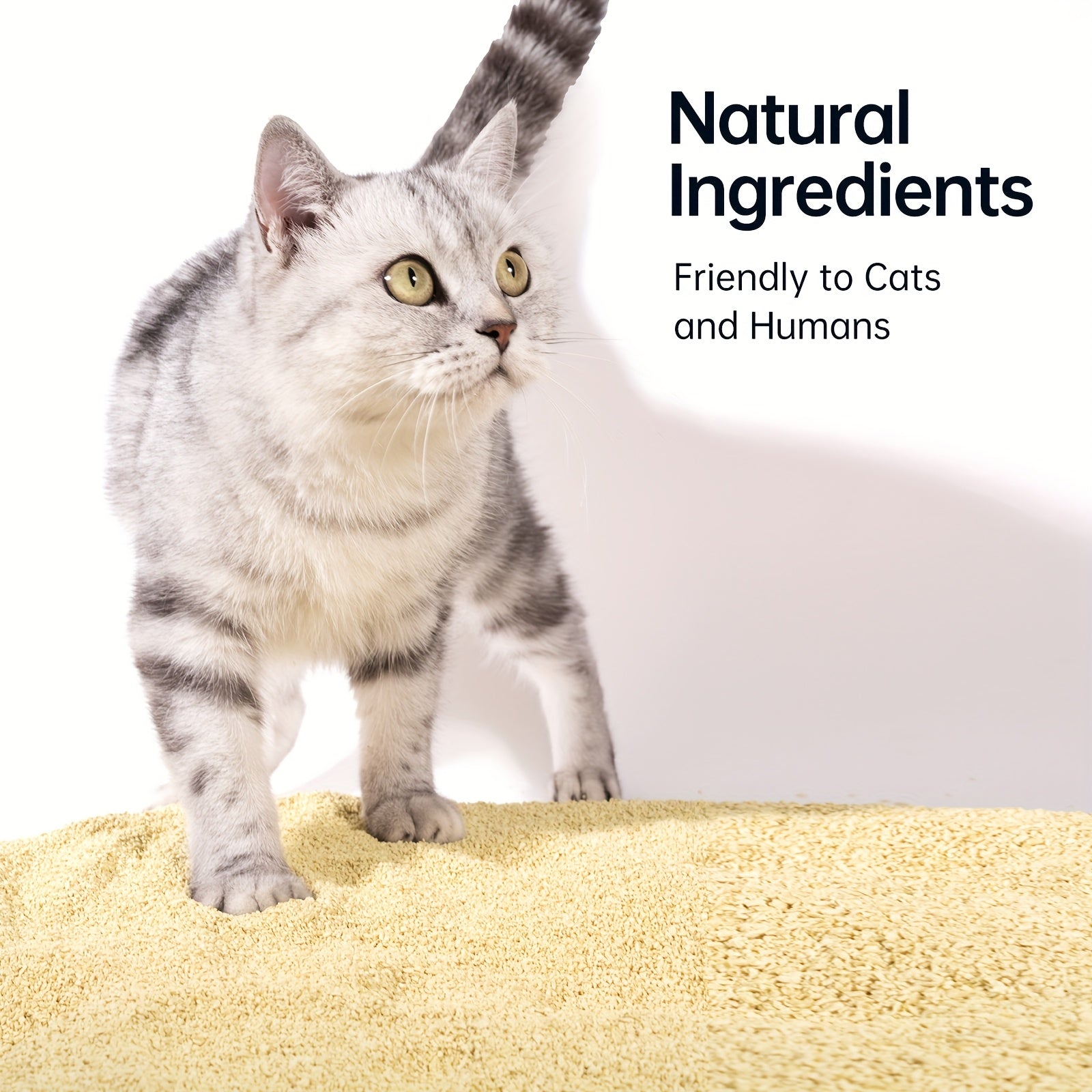 MagicscoopEco Tofu Cat Litter, 22Lbs, Perfect for Self-Cleaninglitter Box & Compatible with for all Litterboxes & Multi Cats, Dust-Free, Fastclumping, Odor Control & Flushable(4Packs X 5.5Lbs)