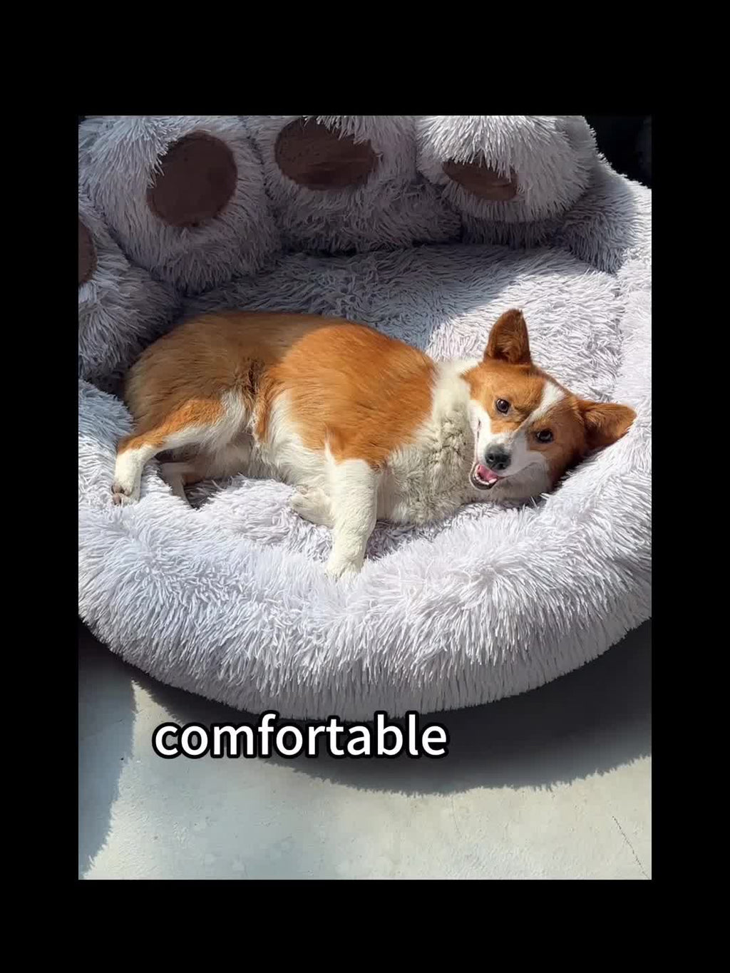 1pc Claw-Shaped Plush Pet Bed Suitable for Small & Medium Dogs & Cats, Raised Edge Anti-Anxiety Bedding with Paw Print Design, Warm Cozy Bed for Puppies, Machine Washable PP Nest, No Assembly Required for Crate or Use